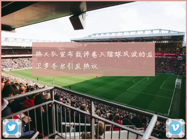 热火队宣布裁掉卷入赌球风波的后卫罗齐尔引发热议